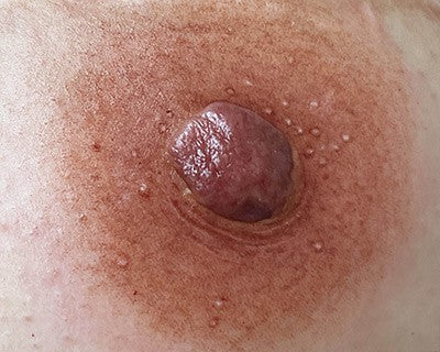 NIP BLUSH COURSE - 1 DAY